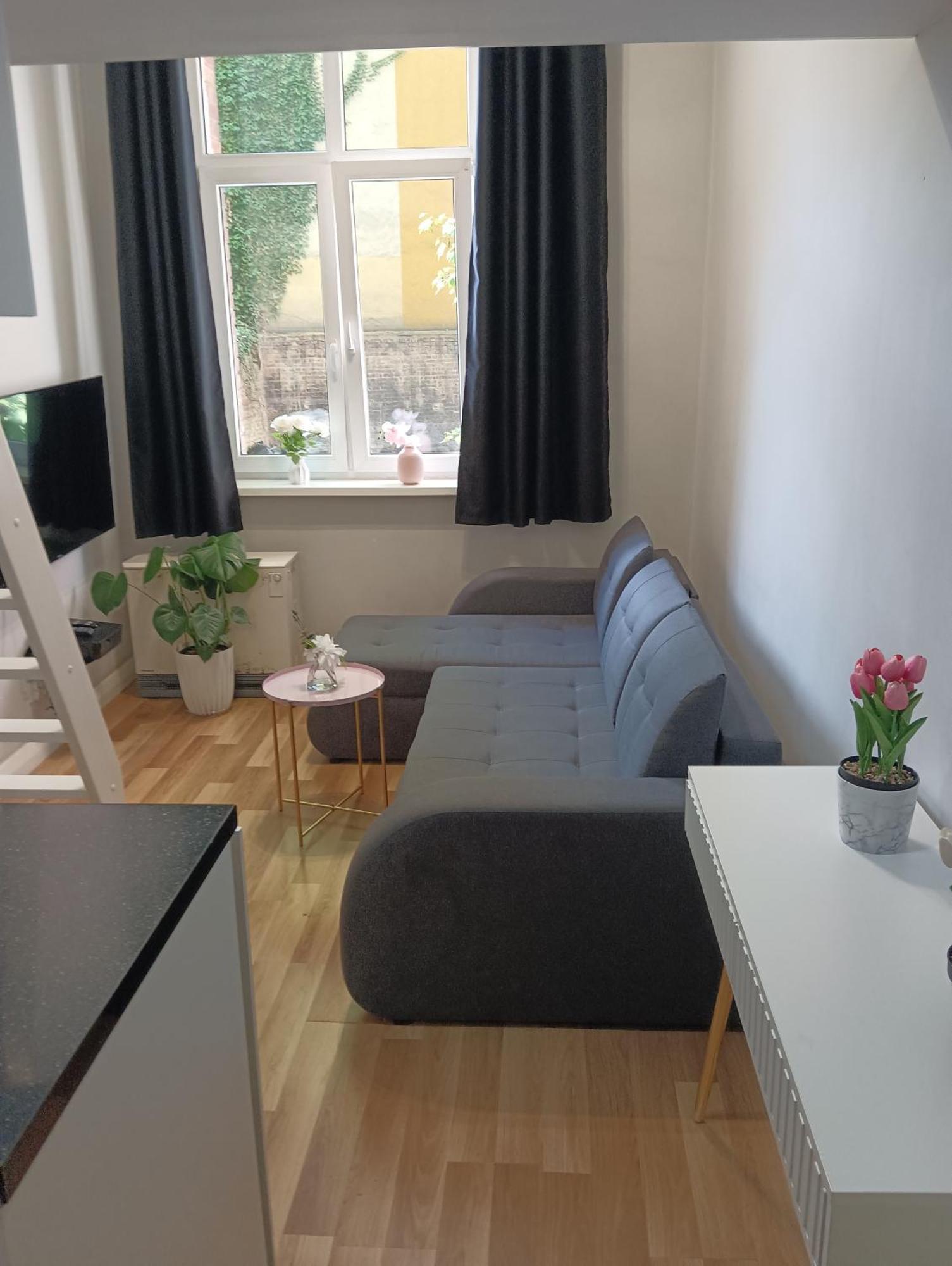 Kawalerka W Centrum Miasta Apartment